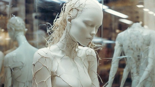 EPHEMERA - storefront with openwork forms