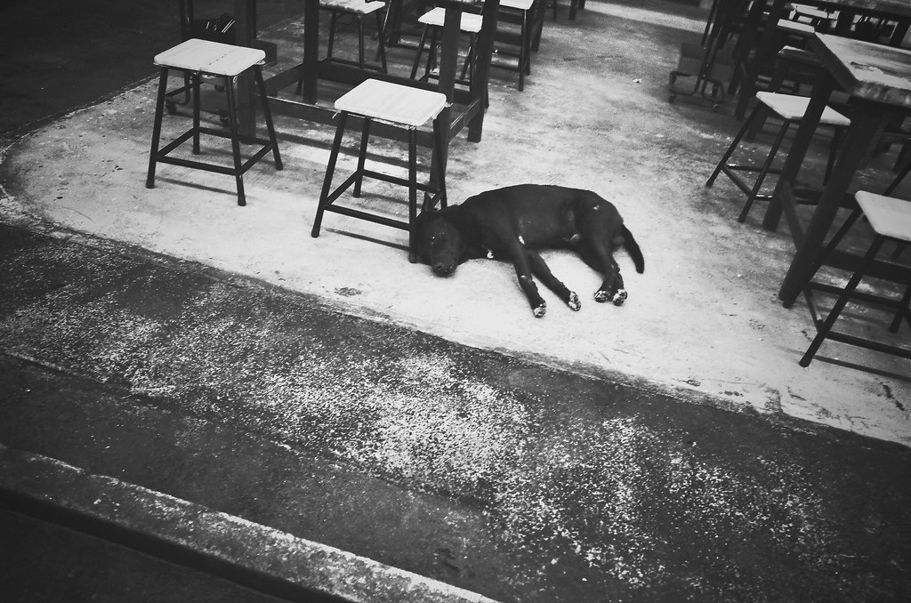 Black and White Street Photography