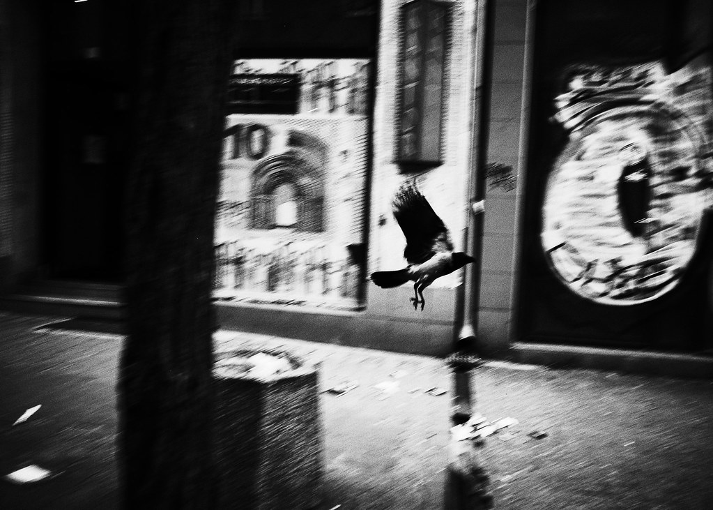 Black and White Street Photography