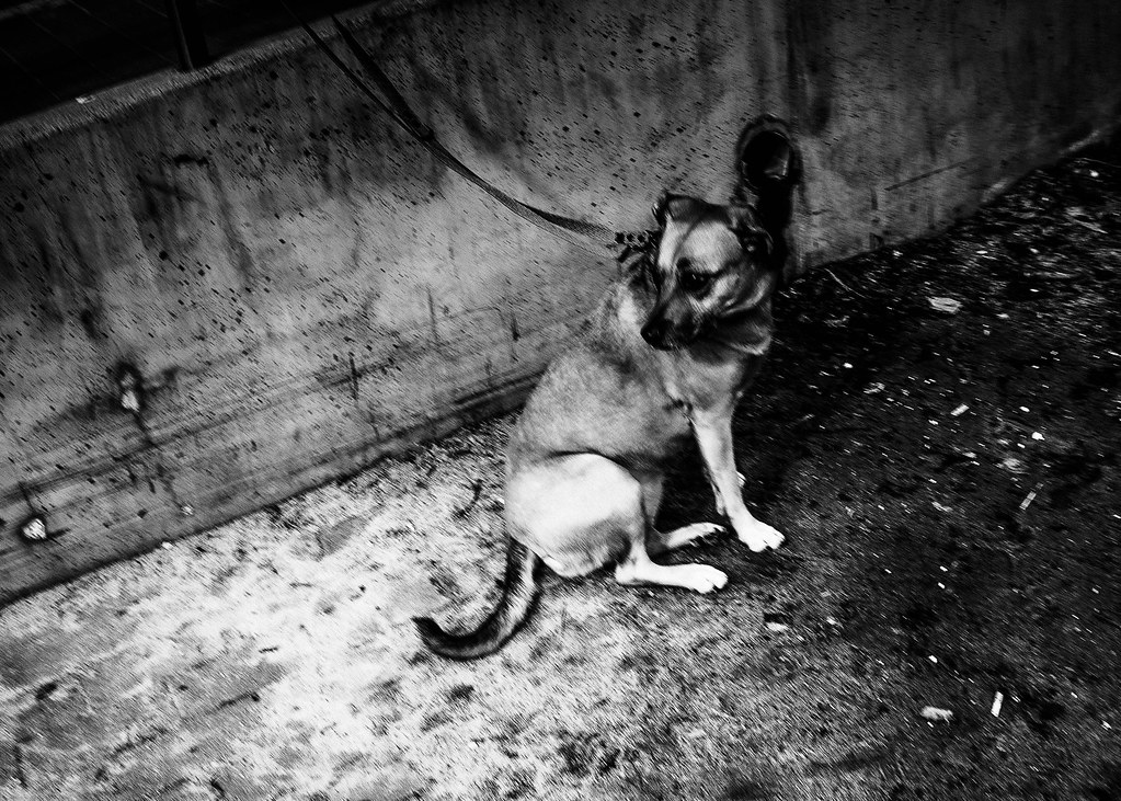 Black and White Street Photography