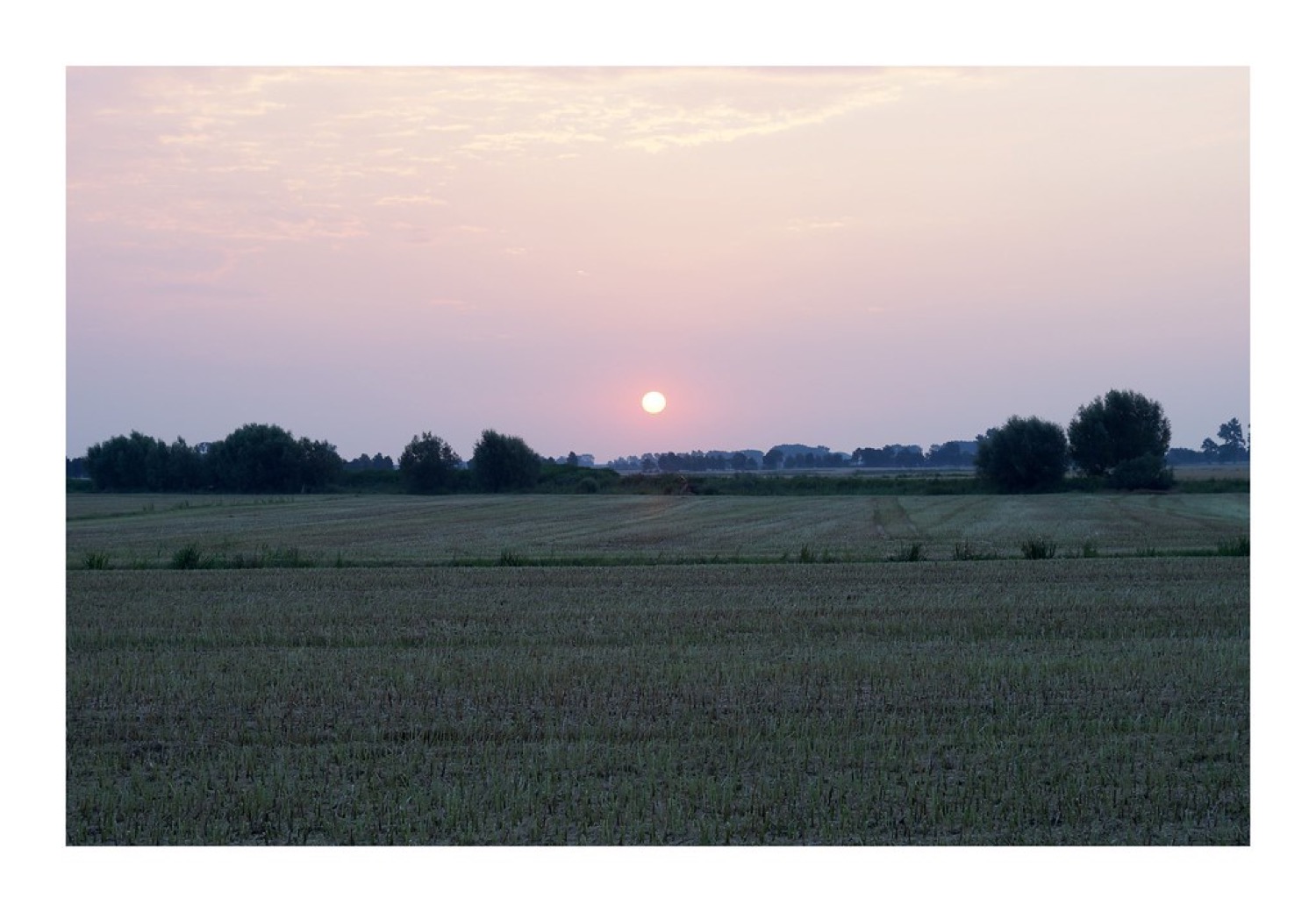 Sunrise in Żuławy region